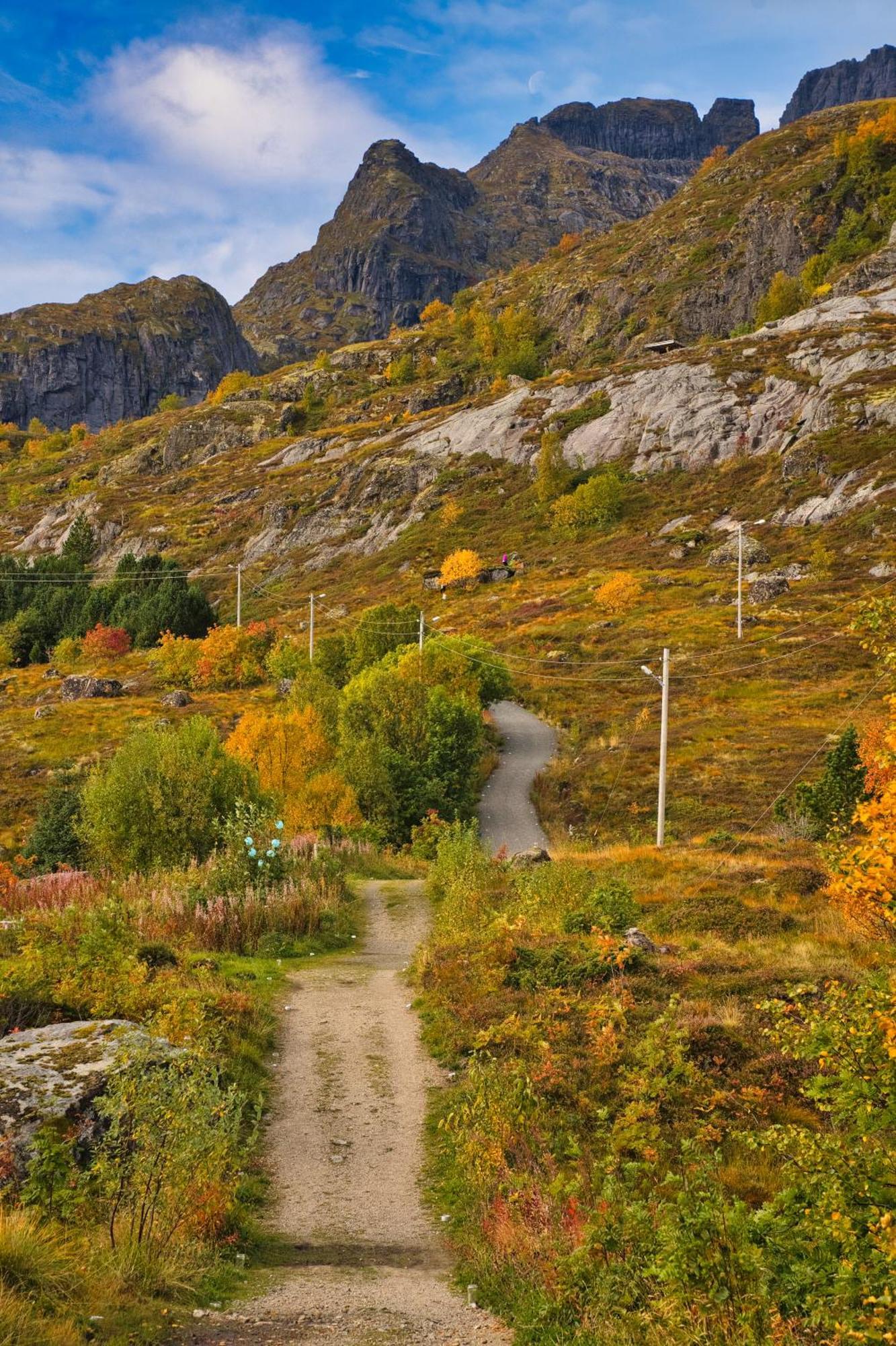 Lofoten Planet Studio Sørvågen Bagian luar foto